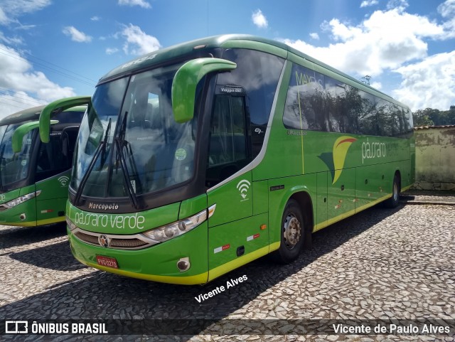 Pássaro Verde 15134 na cidade de Ouro Preto, Minas Gerais, Brasil, por Vicente de Paulo Alves. Número da foto: #6300617.