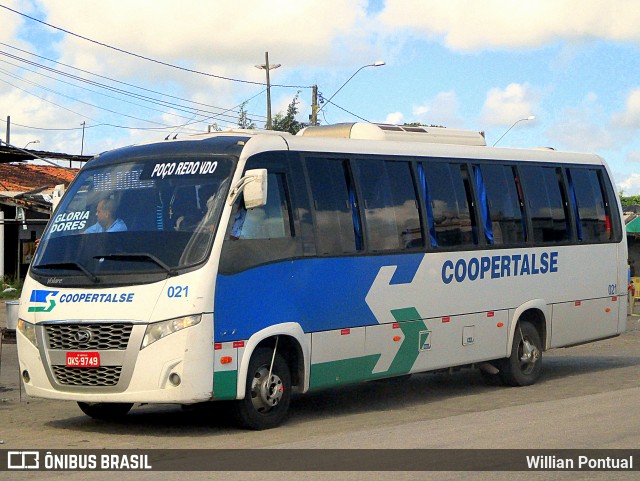 Coopertalse 021 na cidade de Laranjeiras, Sergipe, Brasil, por Willian Pontual. ID da foto: 6300324.