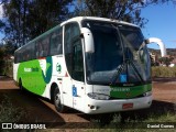 Pássaro Verde 29015 na cidade de Ouro Preto, Minas Gerais, Brasil, por Daniel Gomes. Número da foto: #6301755.