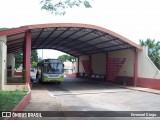 Terminais Rodoviários e Urbanos  na cidade de Bela Vista do Paraíso, Paraná, Brasil, por Emanoel Diego.. Número da foto: #:id.