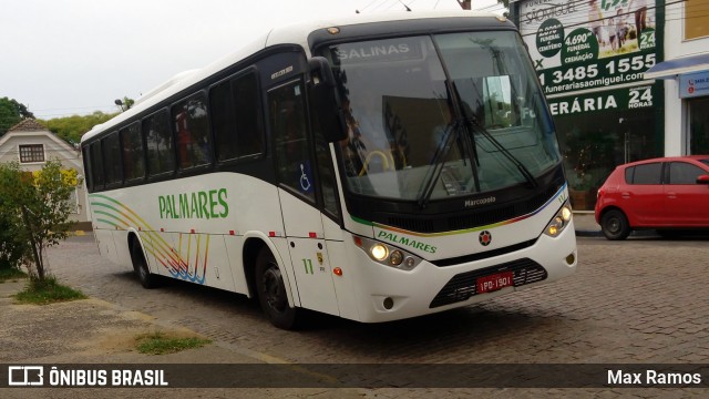 Expresso Palmares 11 na cidade de Viamão, Rio Grande do Sul, Brasil, por Max Ramos. ID da foto: 6307997.