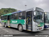Ralip Transportes Rodoviários 2183 na cidade de São Paulo, São Paulo, Brasil, por Felipe Pereira Evangelista. Número da foto: #6307466.