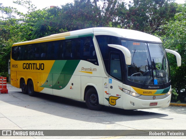Empresa Gontijo de Transportes 18025 na cidade de São Paulo, São Paulo, Brasil, por Roberto Teixeira. Número da foto: #6310451.