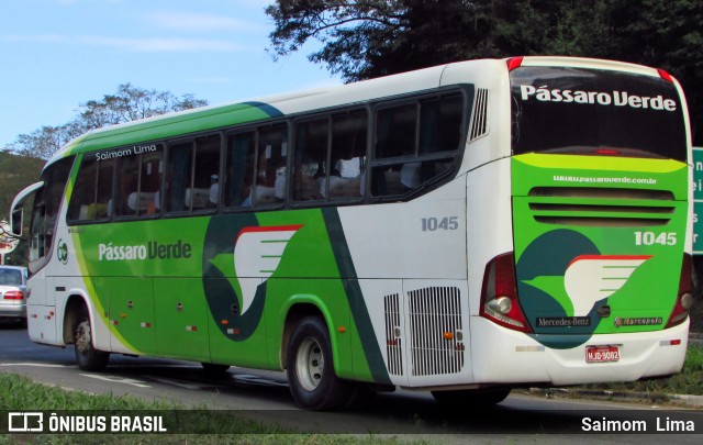 Pássaro Verde 1045 na cidade de Manhuaçu, Minas Gerais, Brasil, por Saimom  Lima. ID da foto: 6311923.