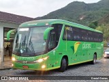 Pássaro Verde 15128 na cidade de Ouro Preto, Minas Gerais, Brasil, por Daniel Gomes. Número da foto: #6315049.