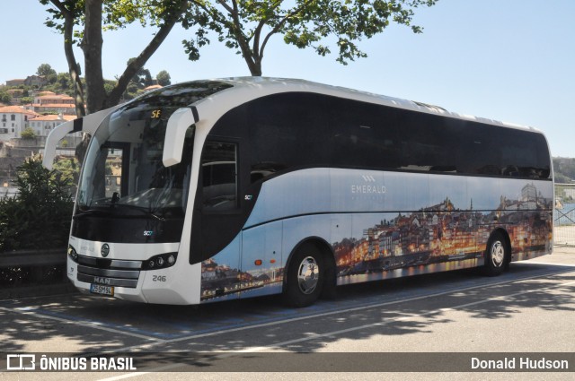 Maia Transportes 246 na cidade de Porto, Porto, Portugal, por Donald Hudson. Número da foto: #6262934.