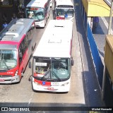 Allibus Transportes 4 5371 na cidade de São Paulo, São Paulo, Brasil, por Michel Nowacki. Número da foto: #6265864.