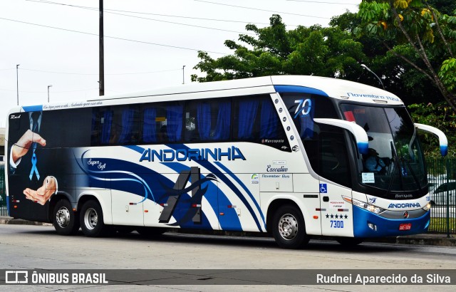 Empresa de Transportes Andorinha 7300 na cidade de São Paulo, São Paulo, Brasil, por Rudnei Aparecido da Silva. Número da foto: #6267476.