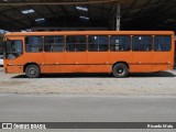 Ônibus Particulares 0876 na cidade de Colombo, Paraná, Brasil, por Ricardo Matu. Número da foto: #6267902.