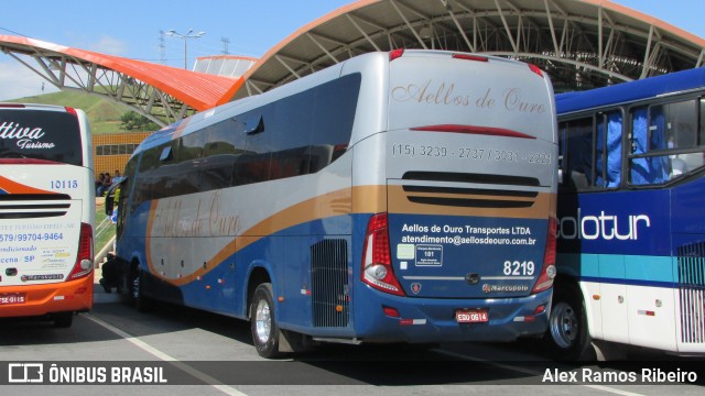 Bia Turismo > Aellos de Ouro 8219 na cidade de Aparecida, São Paulo, Brasil, por Alex Ramos Ribeiro. Número da foto: #6270921.
