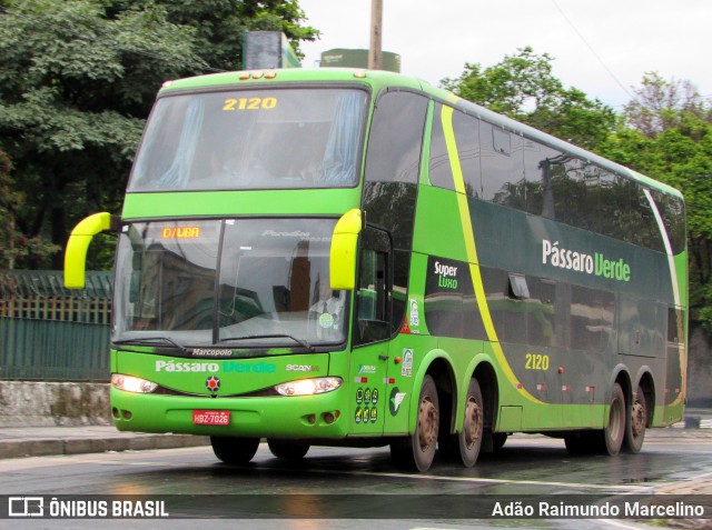 Pássaro Verde 2120 na cidade de Belo Horizonte, Minas Gerais, Brasil, por Adão Raimundo Marcelino. ID da foto: 6319288.