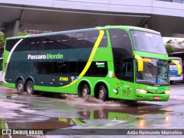 Pássaro Verde 2110 na cidade de Belo Horizonte, Minas Gerais, Brasil, por Adão Raimundo Marcelino. Número da foto: #6319270.