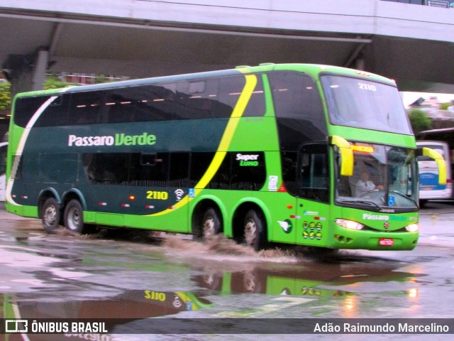 Pássaro Verde 2110 na cidade de Belo Horizonte, Minas Gerais, Brasil, por Adão Raimundo Marcelino. ID da foto: 6319270.