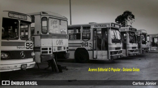 Transurb EBTU 920 na cidade de Goiânia, Goiás, Brasil, por Carlos Júnior. Número da foto: #6318811.