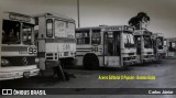 Transurb EBTU 920 na cidade de Goiânia, Goiás, Brasil, por Carlos Júnior. Número da foto: #6318811.