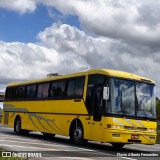 Palmatur Locadora 8600 na cidade de Araçariguama, São Paulo, Brasil, por Flavio Alberto Fernandes. Número da foto: #:id.