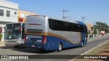 Bia Turismo > Aellos de Ouro 8219 na cidade de Holambra, São Paulo, Brasil, por Alex Ramos Ribeiro. Número da foto: #6337763.
