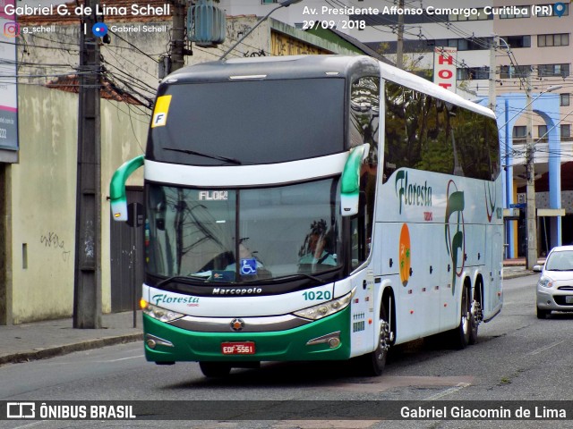 Floresta Turismo 1020 na cidade de Curitiba, Paraná, Brasil, por Gabriel Giacomin de Lima. Número da foto: #6344317.