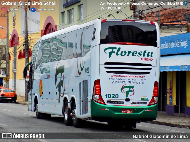 Floresta Turismo 1020 na cidade de Curitiba, Paraná, Brasil, por Gabriel Giacomin de Lima. Número da foto: #6344321.