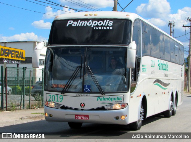 Palmópolis Turismo 2019 na cidade de Belo Horizonte, Minas Gerais, Brasil, por Adão Raimundo Marcelino. ID da foto: 6346539.