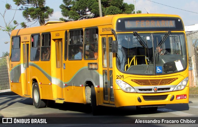 Transportes Coletivos Nossa Senhora da Piedade 291 na cidade de Campo Largo, Paraná, Brasil, por Alessandro Fracaro Chibior. ID da foto: 6348570.