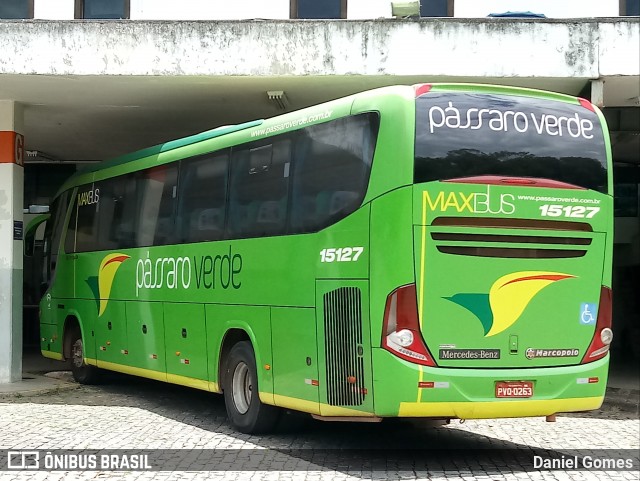 Pássaro Verde 15127 na cidade de Ouro Preto, Minas Gerais, Brasil, por Daniel Gomes. ID da foto: 6349184.