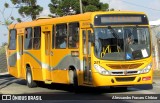 Transportes Coletivos Nossa Senhora da Piedade 291 na cidade de Campo Largo, Paraná, Brasil, por Alessandro Fracaro Chibior. Número da foto: #:id.