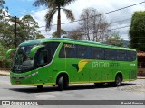 Pássaro Verde 1048 na cidade de Ouro Preto, Minas Gerais, Brasil, por Daniel Gomes. Número da foto: #6349188.