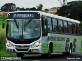 Guerino Seiscento 2711 na cidade de Oriente, São Paulo, Brasil, por Francisco Ivano. Número da foto: #6349436.