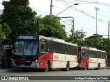 Transwolff Transportes e Turismo 7 8739 na cidade de São Paulo, São Paulo, Brasil, por Rodrigo Rodrigues da Cunha. Número da foto: #:id.