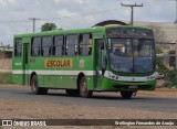 Coração de Mãe 0176 na cidade de Teresina, Piauí, Brasil, por Wellington Fernandes de Araújo. Número da foto: #:id.