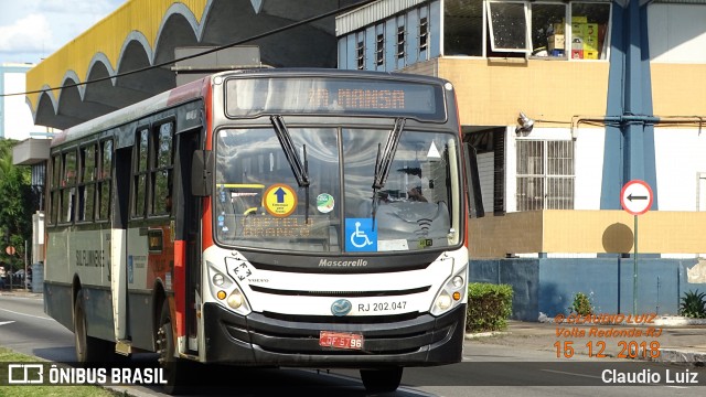 Viação Sul Fluminense RJ 202.047 na cidade de Volta Redonda, Rio de Janeiro, Brasil, por Claudio Luiz. ID da foto: 6356613.