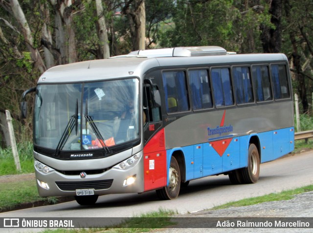 Transfigueiredo Transportes e Serviços 002 na cidade de Belo Horizonte, Minas Gerais, Brasil, por Adão Raimundo Marcelino. ID da foto: 6360770.