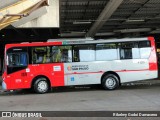 Allibus Transportes 4 5229 na cidade de São Paulo, São Paulo, Brasil, por Rikelmy Godoi Damaceno. Número da foto: #:id.