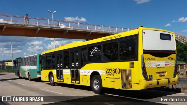 Viação Pioneira 223603 na cidade de Park Way, Distrito Federal, Brasil, por Everton Lira. Número da foto: #6362664.