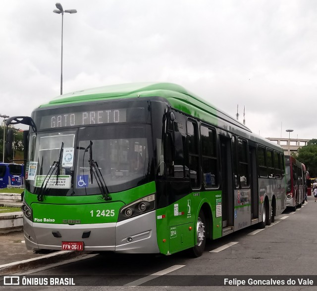 Viação Gato Preto 1 2425 na cidade de São Paulo, São Paulo, Brasil, por Felipe Goncalves do Vale. Número da foto: #6362524.
