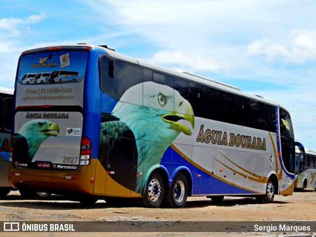 Águia Dourada 2027 na cidade de Aracaju, Sergipe, Brasil, por Sergio Marques . Número da foto: #6361618.