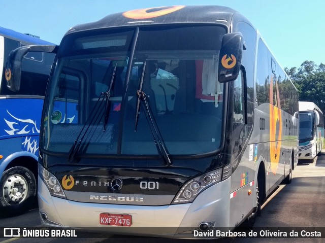 Fenix 001 na cidade de Brasil, por David Barbosa de Oliveira da Costa. Número da foto: #6363653.
