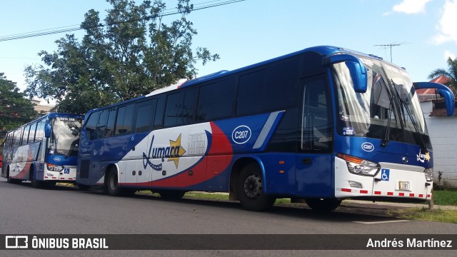 Lumaca C-207 na cidade de Costa Rica, Mato Grosso do Sul, Brasil, por Andrés Martínez Rodríguez. Número da foto: #6365517.