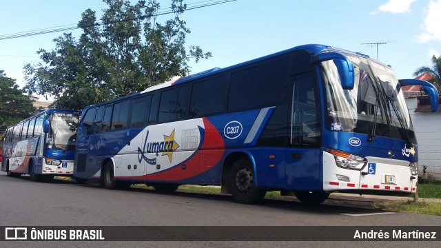 Lumaca C-207 na cidade de Costa Rica, Mato Grosso do Sul, Brasil, por Andrés Martínez Rodríguez. ID da foto: 6365517.