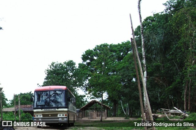 Transbrasiliana Transportes e Turismo 3673 na cidade de Brasil, por Tarcisio Rodrigues da Silva. Número da foto: #6368495.