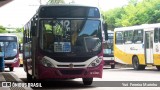 Rio Guamá AP-31201 na cidade de Belém, Pará, Brasil, por Yuri Ferreira Marinho. Número da foto: #6368171.