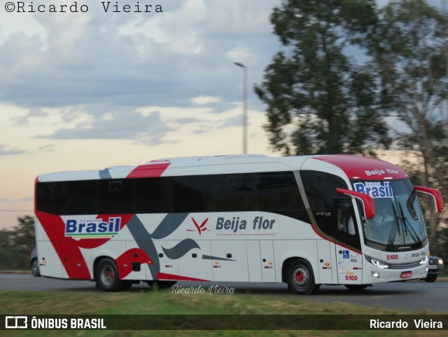 Beija Flor Turismo 5100 na cidade de Santa Maria, Distrito Federal, Brasil, por Ricardo Vieira. ID da foto: 6369562.