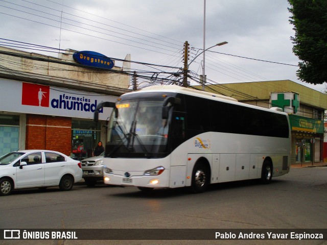 Bus Service 67 na cidade de Santa Cruz, Colchagua, Libertador General Bernardo O'Higgins, Chile, por Pablo Andres Yavar Espinoza. ID da foto: 6369754.