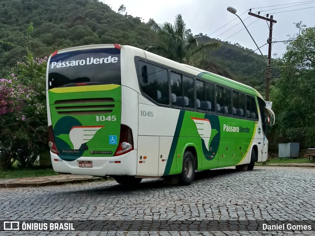 Pássaro Verde 1045 na cidade de Ouro Preto, Minas Gerais, Brasil, por Daniel Gomes. ID da foto: 6371060.