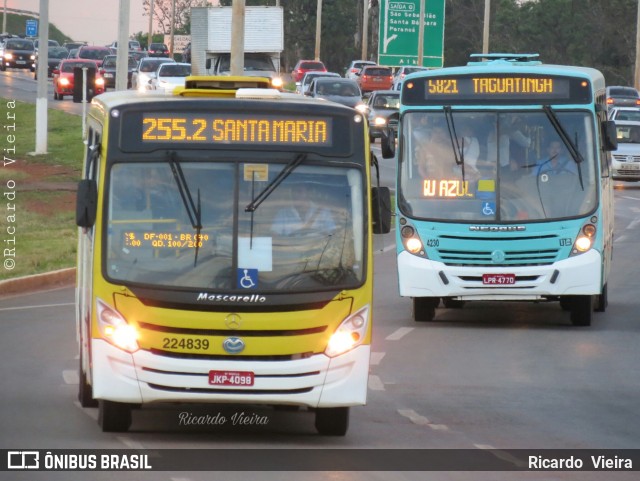 Viação Pioneira 224839 na cidade de Santa Maria, Distrito Federal, Brasil, por Ricardo Vieira. Número da foto: #6369555.