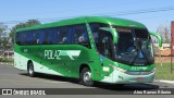 Polaztur Transporte e Turismo 1010 na cidade de Holambra, São Paulo, Brasil, por Alex Ramos Ribeiro. Número da foto: #:id.