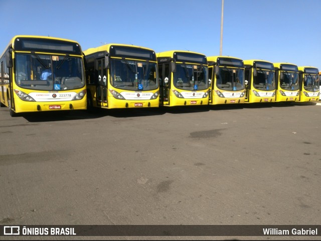 Viação Pioneira 223859 na cidade de Brasília, Distrito Federal, Brasil, por William Gabriel. ID da foto: 6382057.