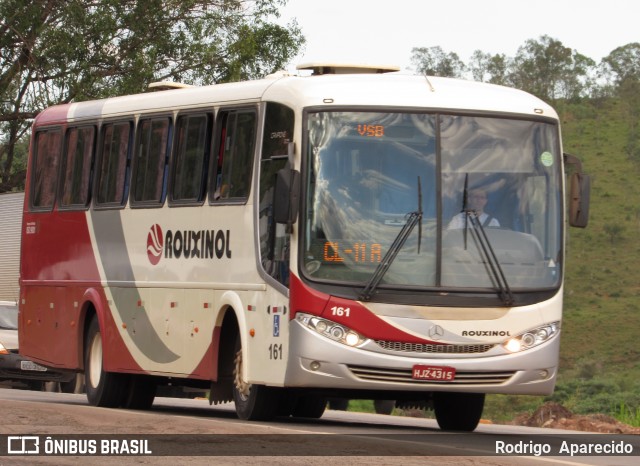 Rouxinol 161 na cidade de Conselheiro Lafaiete, Minas Gerais, Brasil, por Rodrigo  Aparecido. Número da foto: #6381490.