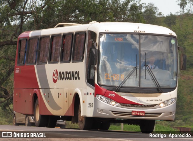 Rouxinol 295 na cidade de Conselheiro Lafaiete, Minas Gerais, Brasil, por Rodrigo  Aparecido. ID da foto: 6381499.